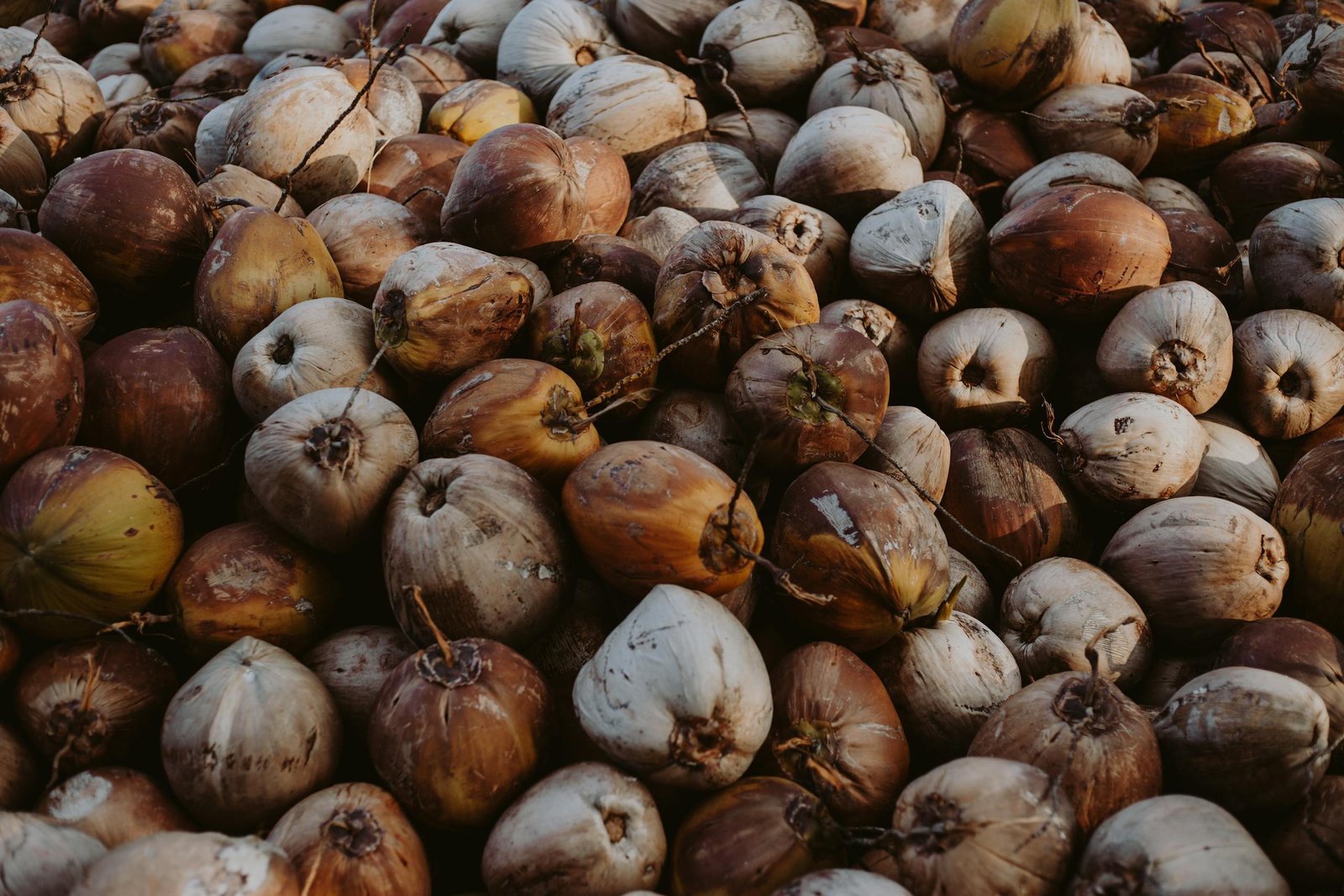 A large pile of dried coconuts showcasing natural textures and earthy tones.