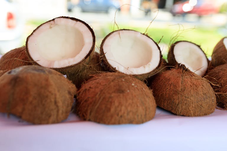 Halved coconuts on a white surface outdoors, showcasing their fibrous texture and white flesh.